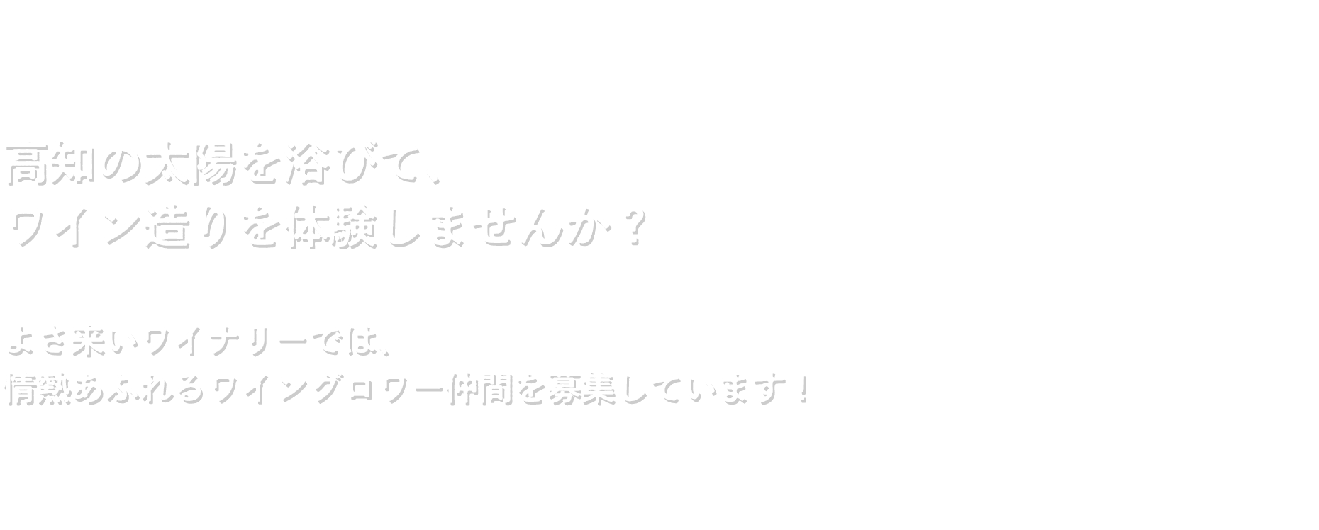 高知の太陽を浴びて、ワイン造りを体験しませんか？よさ来いワイナリーでは、情熱あふれるワイングロワー仲間を募集しています！