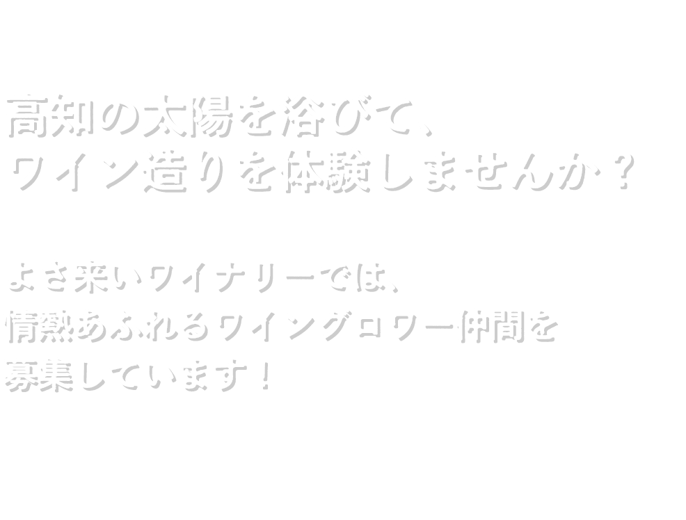 高知の太陽を浴びて、ワイン造りを体験しませんか？よさ来いワイナリーでは、情熱あふれるワイングロワー仲間を募集しています！